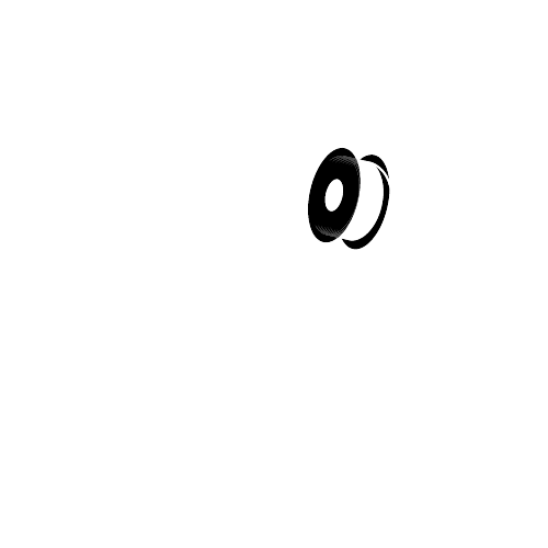 Chaos Concepts LLC logo