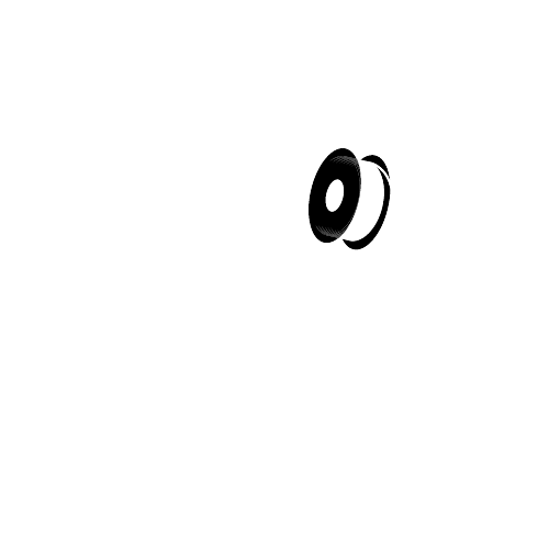 Chaos Concepts LLC